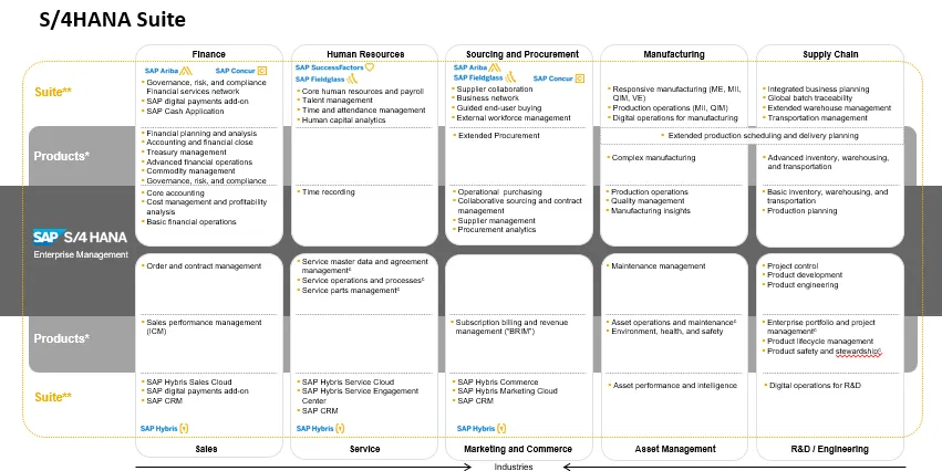 sap software